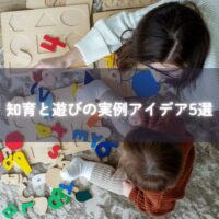 家庭内で知育遊びをしている親子と道具