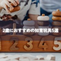 知育玩具を手に取る2歳の子ども