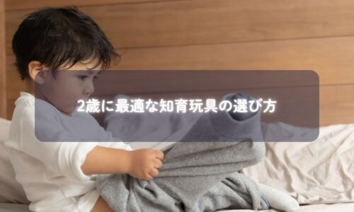 2歳児にぴったりの知育玩具と遊ぶ親子の写真