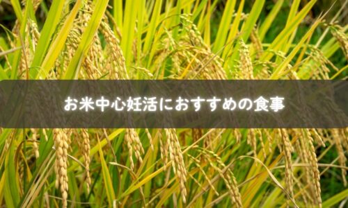 雑穀米ご飯と副菜を用意する妊活ママ