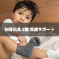 知育玩具で発達を促す2歳の子
