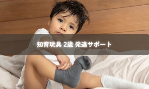 知育玩具で発達を促す2歳の子
