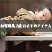 知育玩具で遊ぶ2歳の子ども