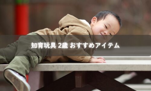 知育玩具で遊ぶ2歳の子ども