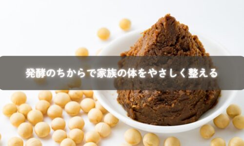 発酵食品で体を整える家族の食卓イメージ