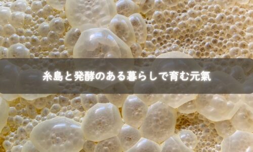 親子で発酵食品を仕込む糸島の暮らし