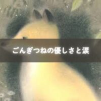 ごんぎつねのイラストと村人兵十