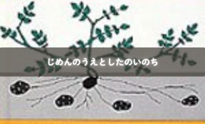 じめんのうえとしたの自然のイラスト