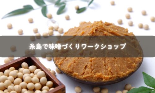 糸島で味噌づくりを体験する親子の写真