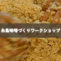糸島で開催された親子味噌作りワークショップ。常在菌と笑顔が交わる発酵のひととき。