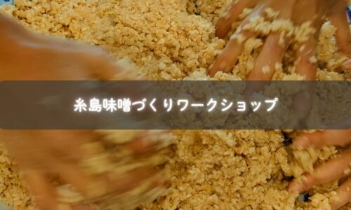 糸島で開催された親子味噌作りワークショップ。常在菌と笑顔が交わる発酵のひととき。