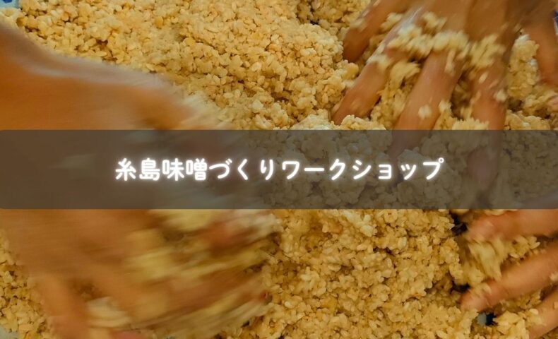 糸島で開催された親子味噌作りワークショップ。常在菌と笑顔が交わる発酵のひととき。