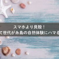 糸島の海辺で貝殻を拾う親子の自然体験の様子