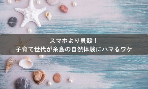 糸島の海辺で貝殻を拾う親子の自然体験の様子